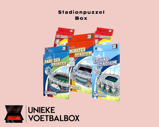 3D puzzel stadion box