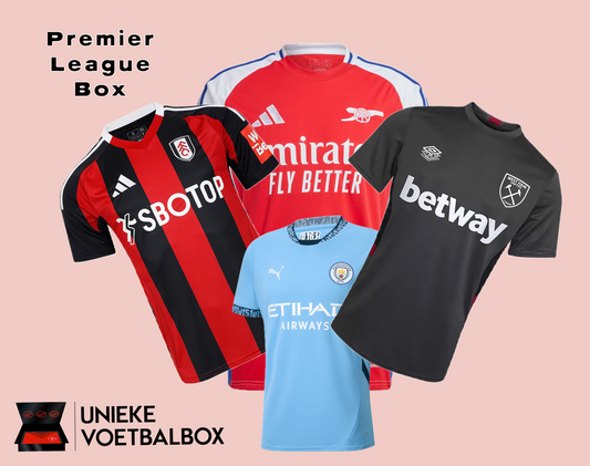 Premier-League-Box 23/24